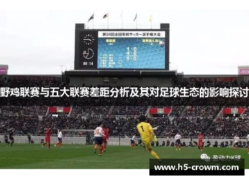 野鸡联赛与五大联赛差距分析及其对足球生态的影响探讨